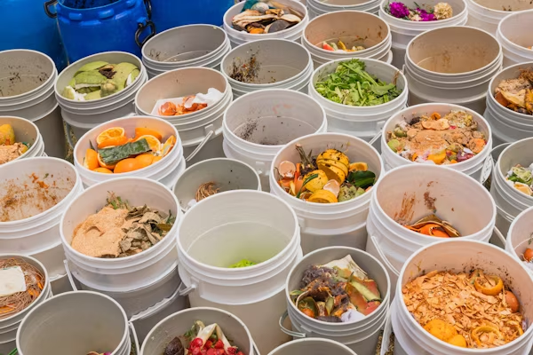 Industria de alimentos y bebidas y tratamiento de aguas residuales de procesamiento de alimentos